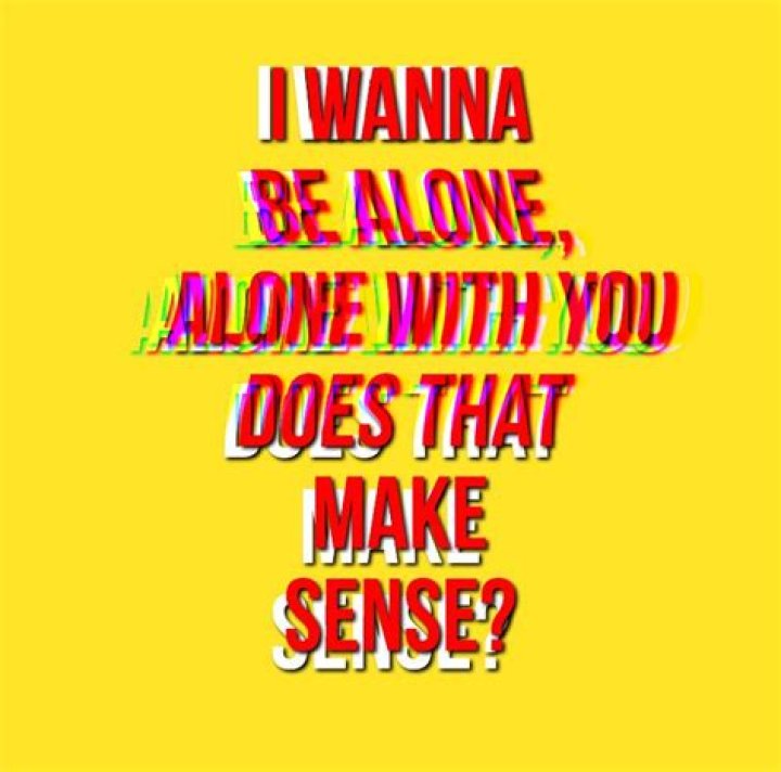I wanna be alone alone with you does this make sense lyrics