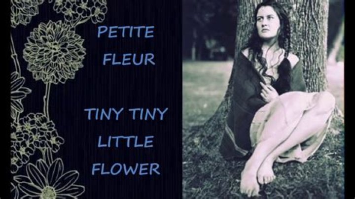 Petite fleur lyrics