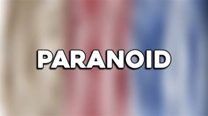 Rio da yung og paranoid lyrics